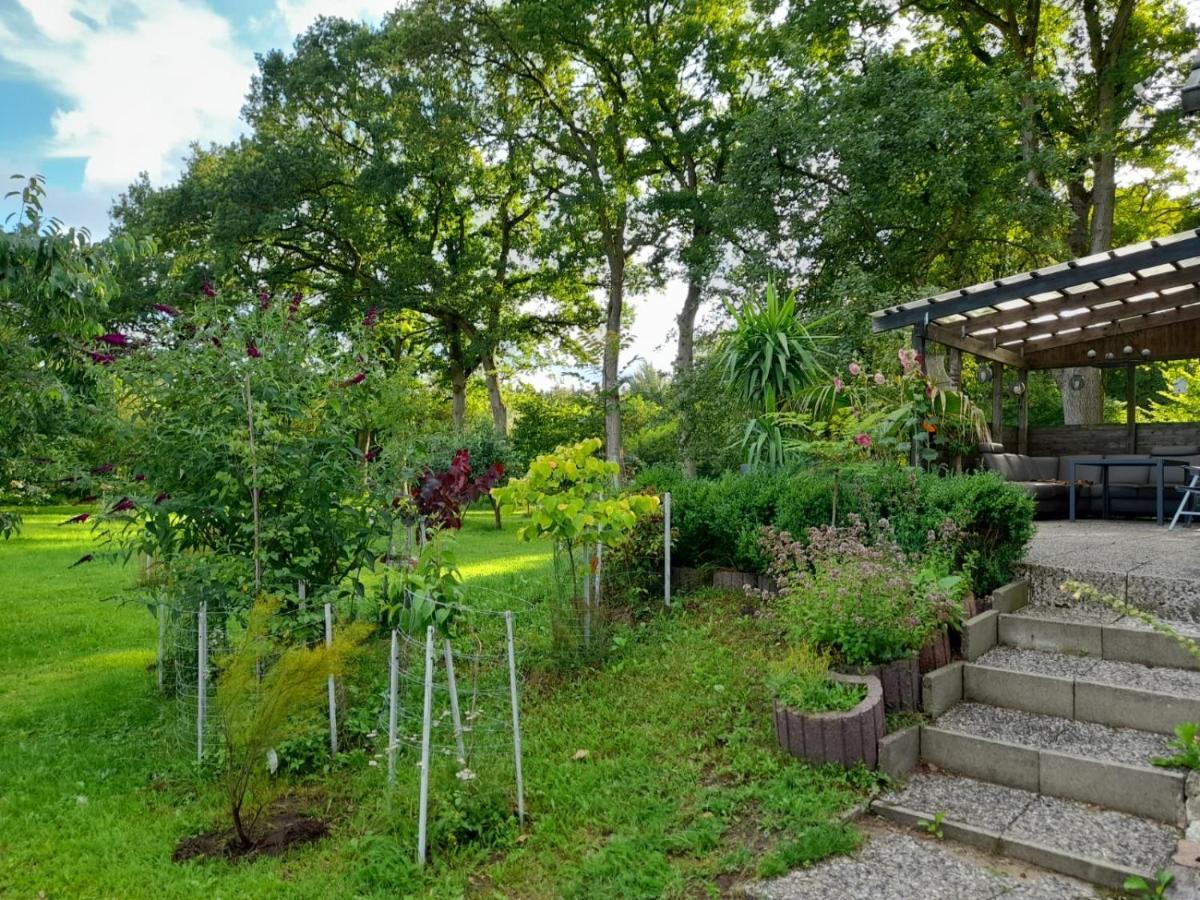 Haus Wald Und Wiese Wohnung Wiese Ehndorf 外观 照片