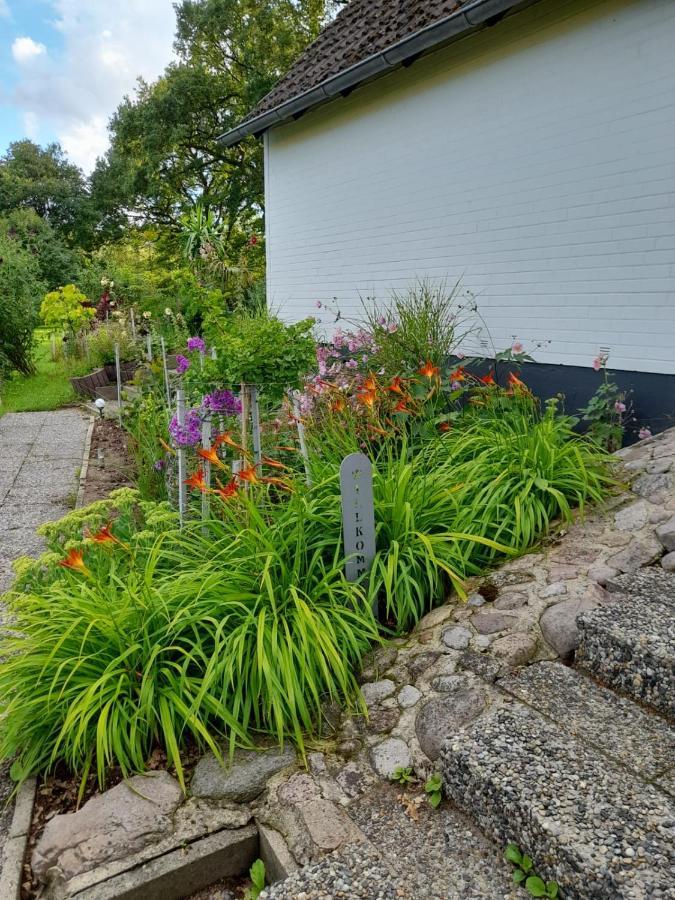 Haus Wald Und Wiese Wohnung Wiese Ehndorf 外观 照片